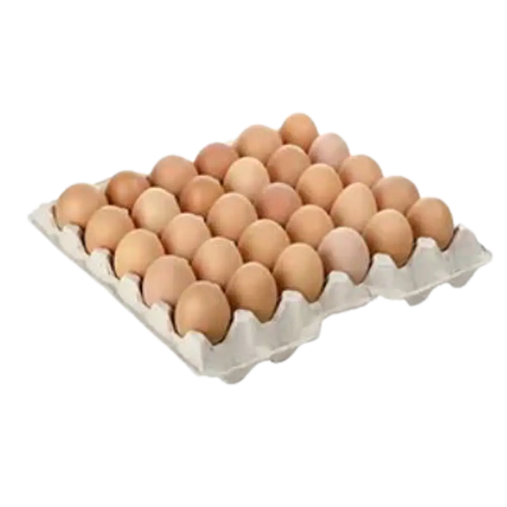 Bandeja de 30 huevos Primera gallina libre