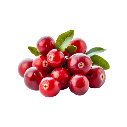 Enjuague Bucal Bilka Homeopathy Mastiha – 250 ml