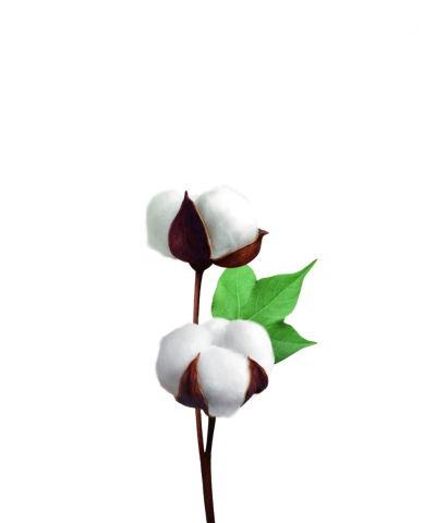 BILKA JABÓN ÍNTIMO EN ESPUMA DE ALGODÓN(140 ml)