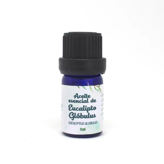 Aceite Esencial de Eucalipto Orgánico – 5 ml 🌿✨