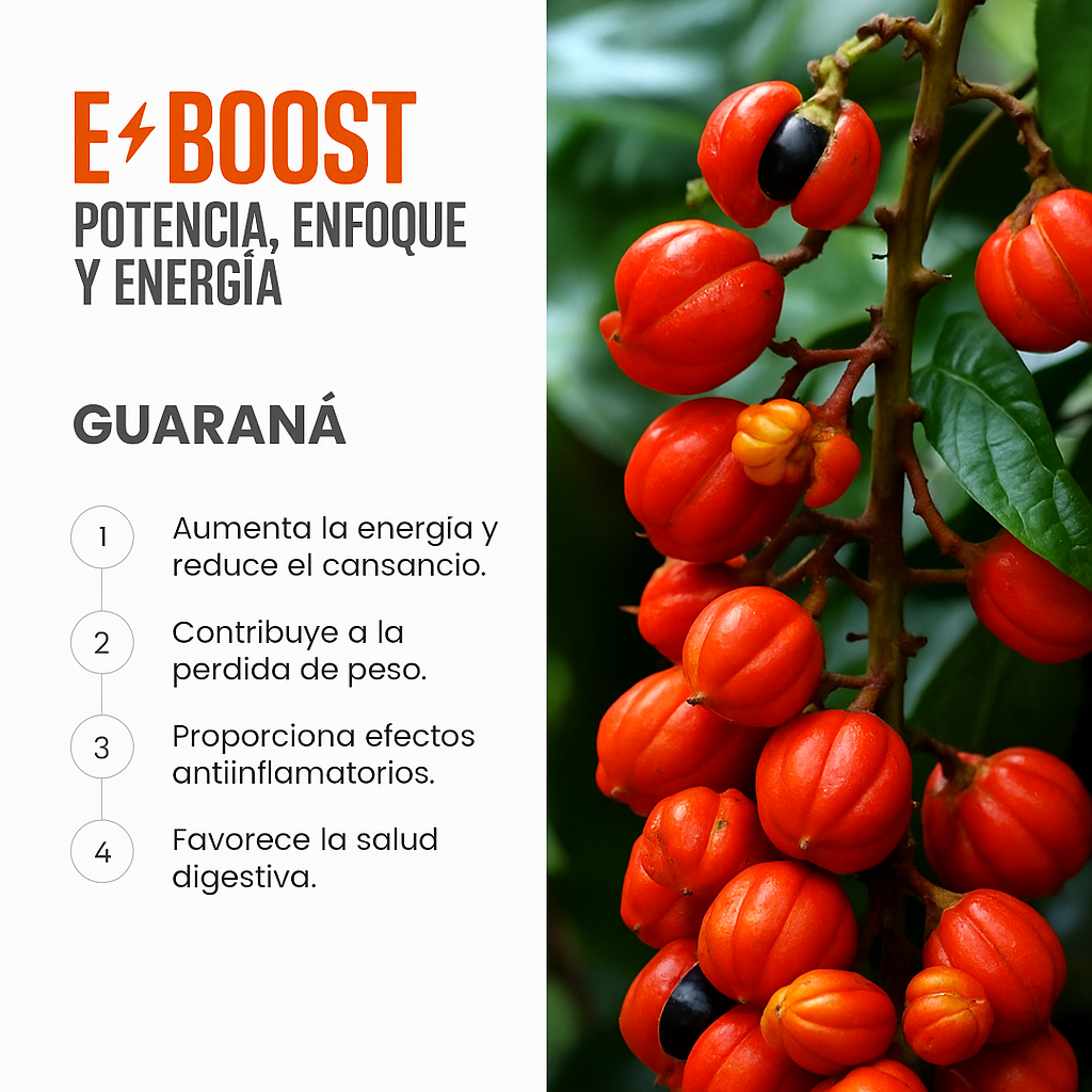 E-BOOST | Energizante Natural para Energía y Concentración