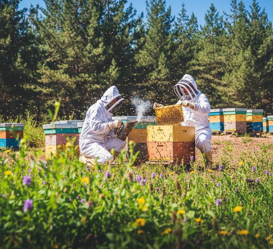 Miel Multifloral 1 Kg – 100% Pura y Natural