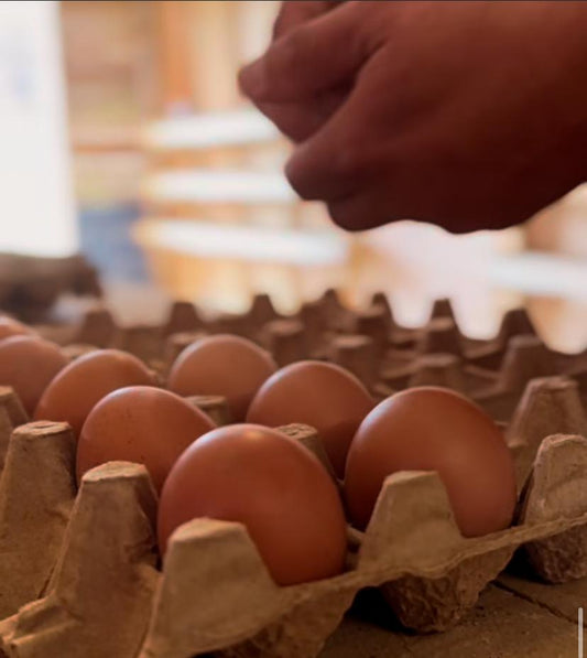 Huevos de Gallina Libre — Bandeja 30 Unidades | Vida Natura Chile